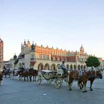 UMK przypomina o zasadach obowiązujących krakowskich dorożkarzy